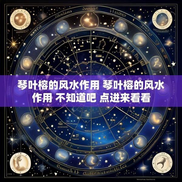 琴叶榕的风水作用 琴叶榕的风水作用 不知道吧 点进来看看