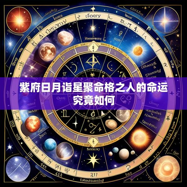 紫府日月诣星聚命格之人的命运究竟如何