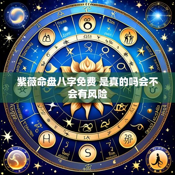 紫薇命盘八字免费 是真的吗会不会有风险