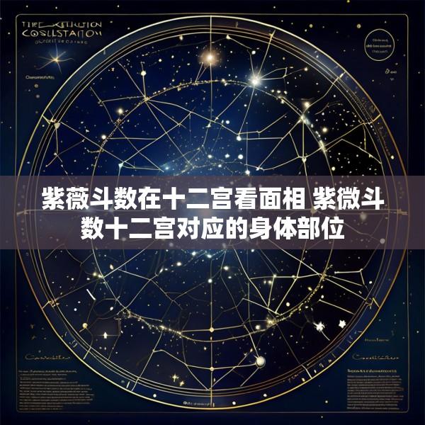 紫薇斗数在十二宫看面相 紫微斗数十二宫对应的身体部位
