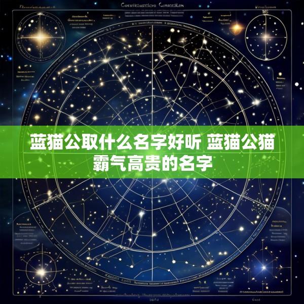 蓝猫公取什么名字好听 蓝猫公猫霸气高贵的名字