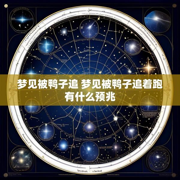 梦见被鸭子追 梦见被鸭子追着跑有什么预兆