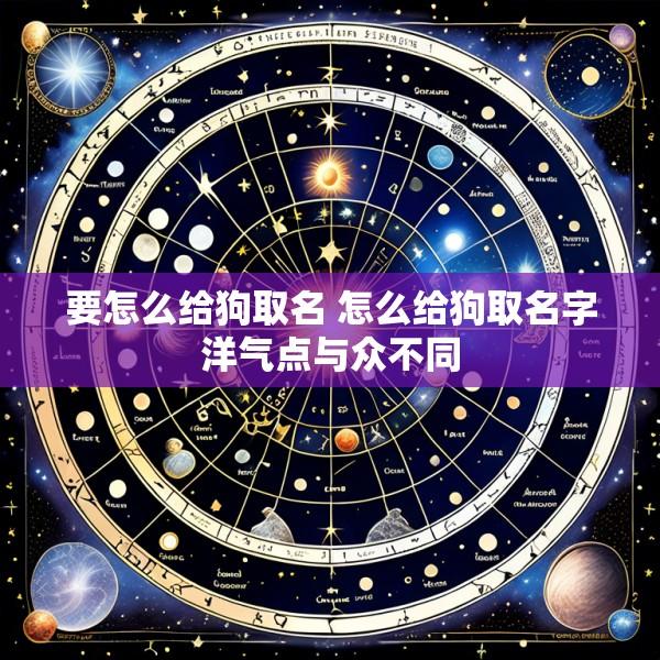 要怎么给狗取名 怎么给狗取名字洋气点与众不同