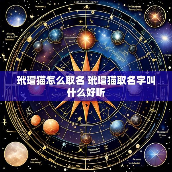 玳瑁猫怎么取名 玳瑁猫取名字叫什么好听