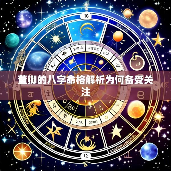 董卿的八字命格解析为何备受关注