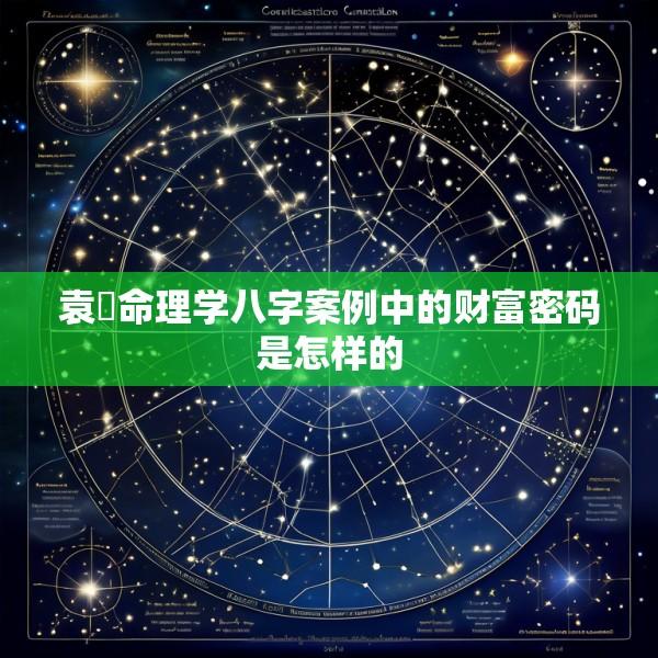 袁燊命理学八字案例中的财富密码是怎样的