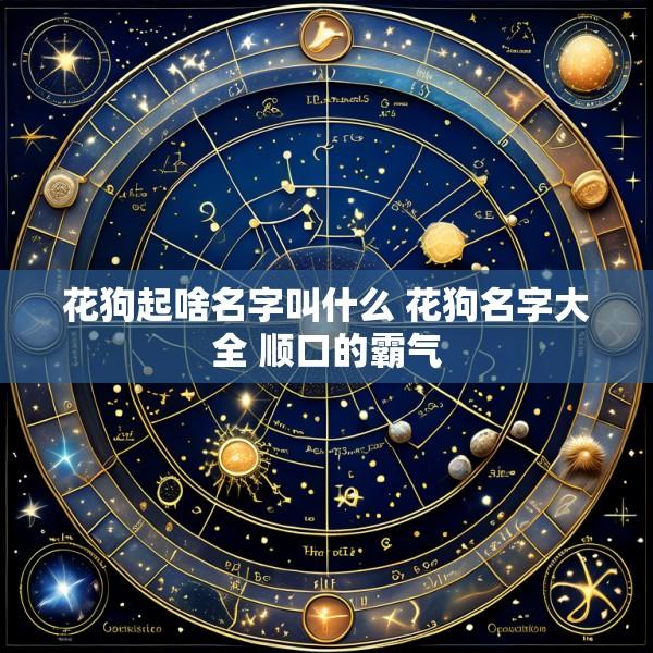 花狗起啥名字叫什么 花狗名字大全 顺口的霸气