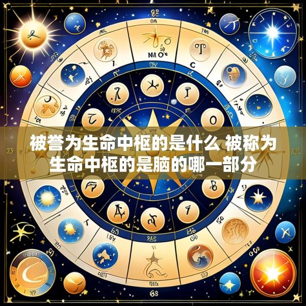 被誉为生命中枢的是什么 被称为生命中枢的是脑的哪一部分
