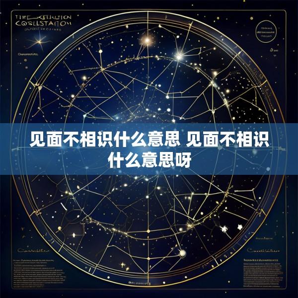 见面不相识什么意思 见面不相识什么意思呀