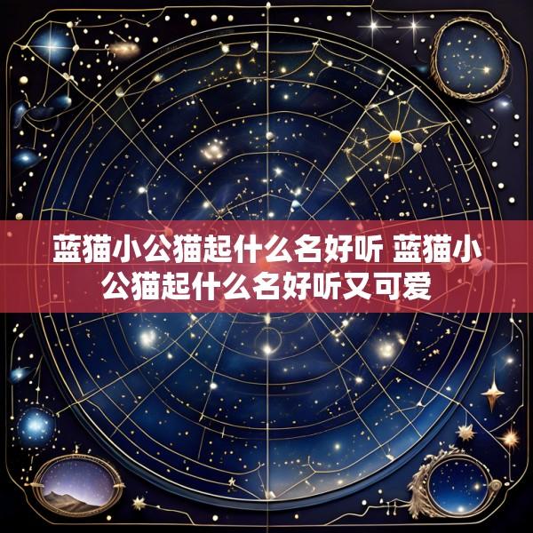 蓝猫小公猫起什么名好听 蓝猫小公猫起什么名好听又可爱