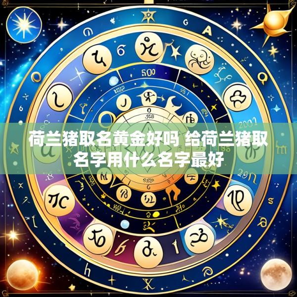 荷兰猪取名黄金好吗 给荷兰猪取名字用什么名字最好