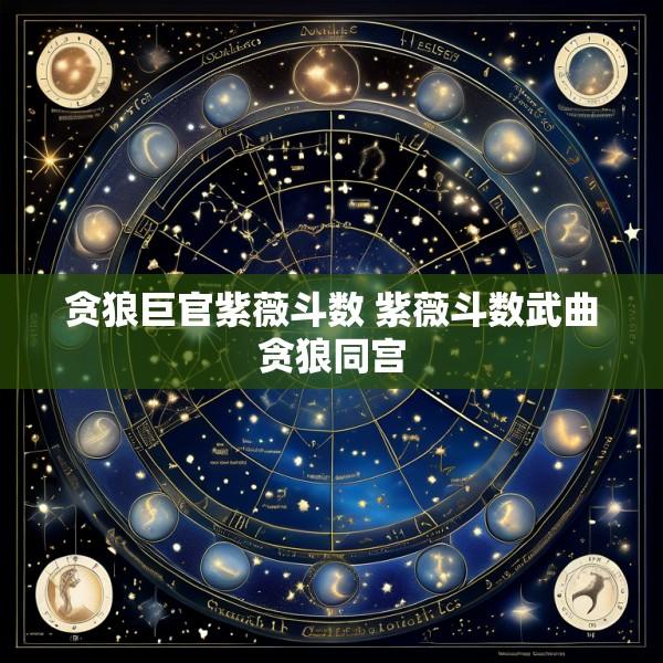 贪狼巨官紫薇斗数 紫薇斗数武曲贪狼同宫