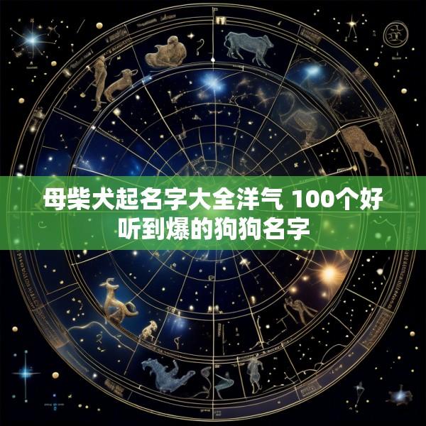 母柴犬起名字大全洋气 100个好听到爆的狗狗名字