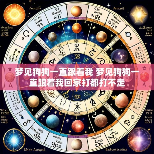 梦见狗狗一直跟着我 梦见狗狗一直跟着我回家打都打不走