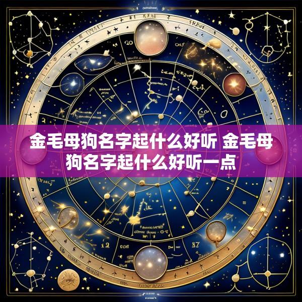 金毛母狗名字起什么好听 金毛母狗名字起什么好听一点