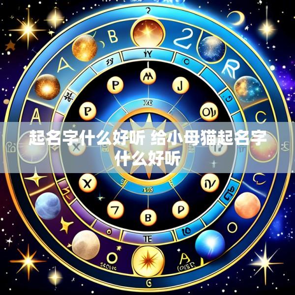 起名字什么好听 给小母猫起名字什么好听