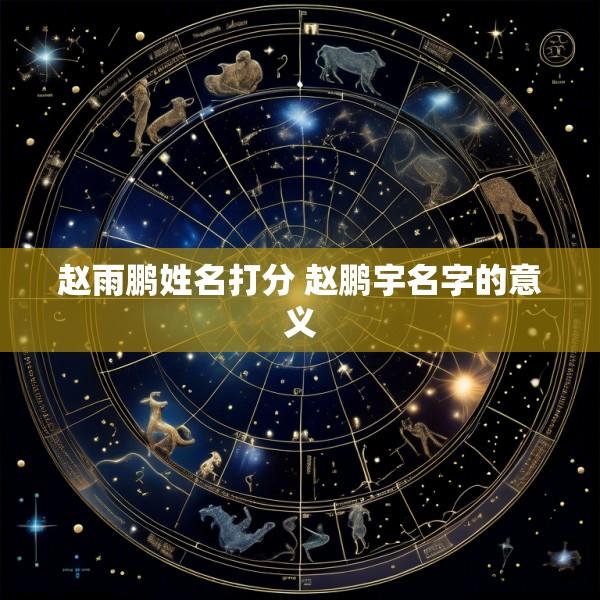 赵雨鹏姓名打分 赵鹏宇名字的意义