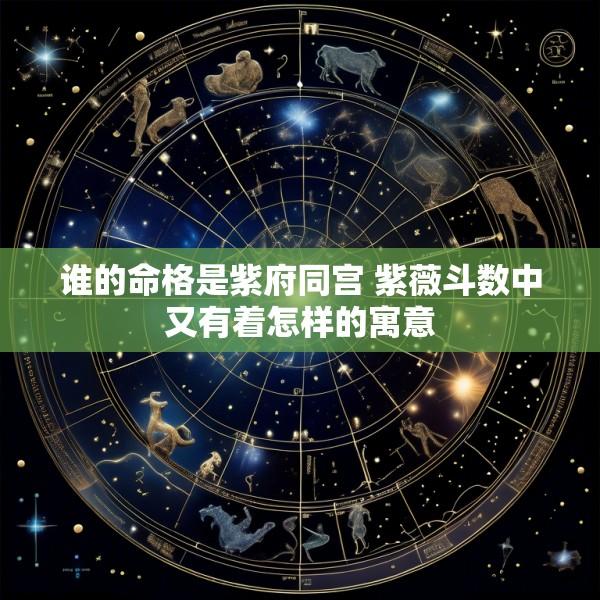 谁的命格是紫府同宫 紫薇斗数中又有着怎样的寓意
