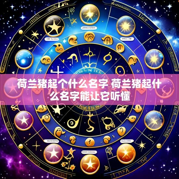 荷兰猪起个什么名字 荷兰猪起什么名字能让它听懂