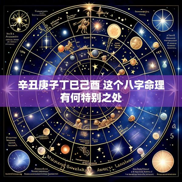 辛丑庚子丁巳己酉 这个八字命理有何特别之处