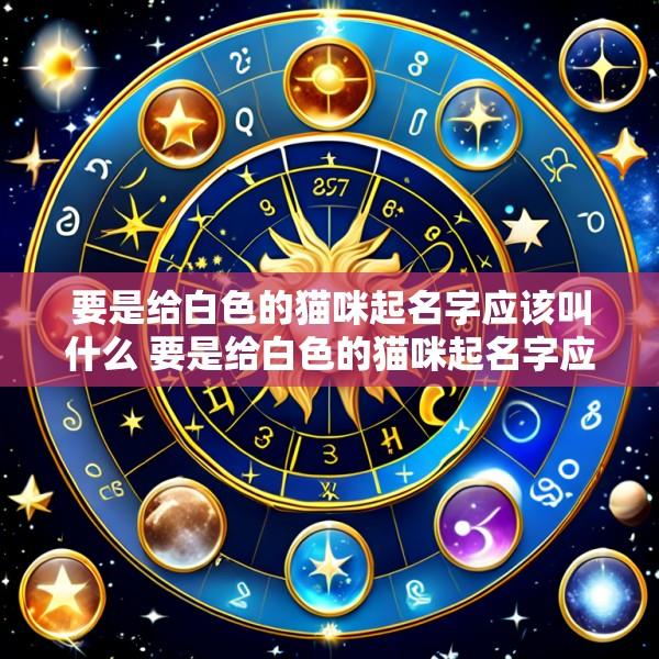要是给白色的猫咪起名字应该叫什么 要是给白色的猫咪起名字应该叫什么好听