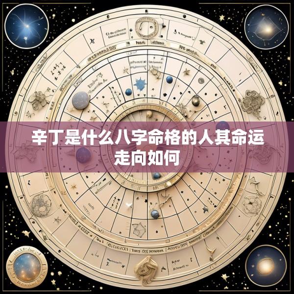 辛丁是什么八字命格的人其命运走向如何
