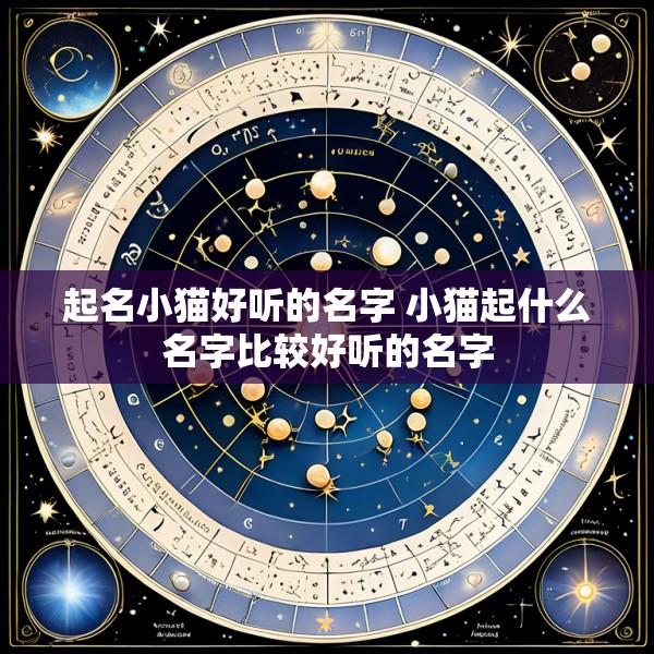 起名小猫好听的名字 小猫起什么名字比较好听的名字