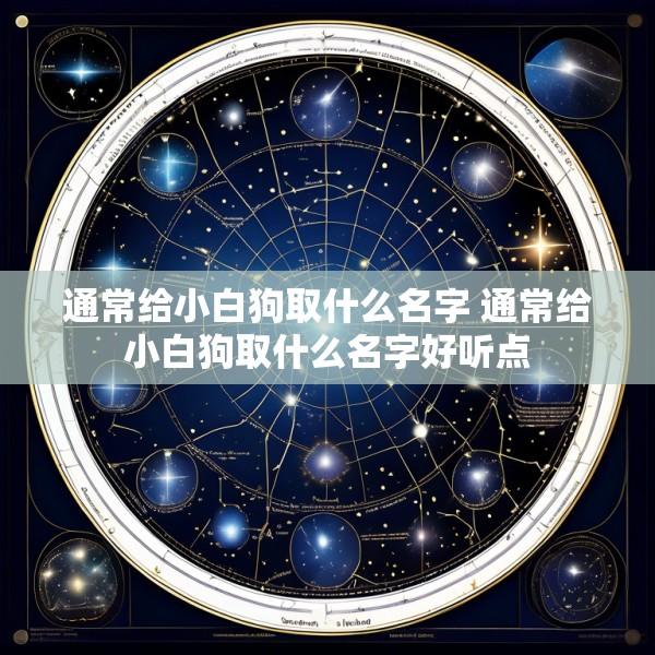 通常给小白狗取什么名字 通常给小白狗取什么名字好听点