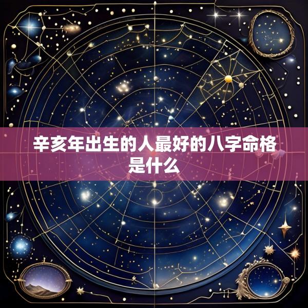 辛亥年出生的人最好的八字命格是什么