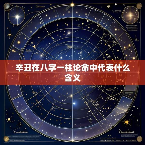 辛丑在八字一柱论命中代表什么含义