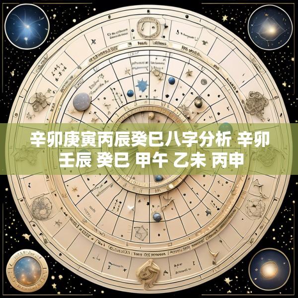 辛卯庚寅丙辰癸巳八字分析 辛卯 壬辰 癸巳 甲午 乙未 丙申