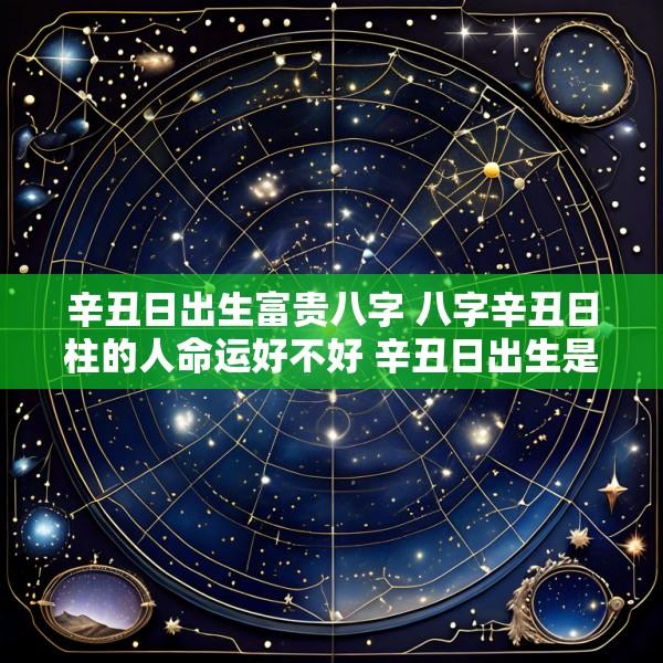辛丑日出生富贵八字 八字辛丑日柱的人命运好不好 辛丑日出生是什么命