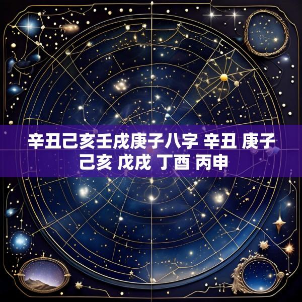 辛丑己亥壬戌庚子八字 辛丑 庚子 己亥 戊戌 丁酉 丙申