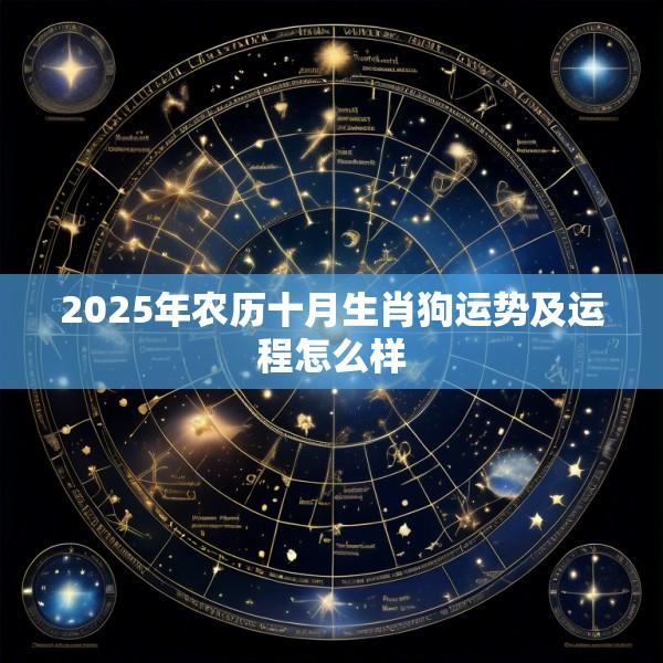 2025年农历十月生肖狗运势及运程怎么样
