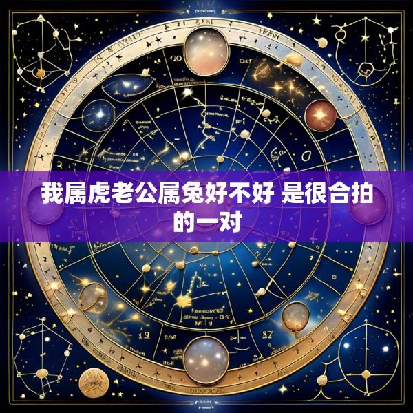 我属虎老公属兔好不好 是很合拍的一对