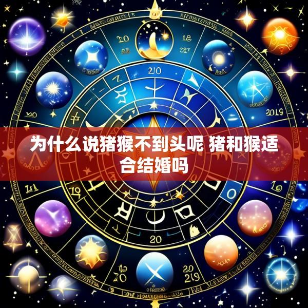 为什么说猪猴不到头呢 猪和猴适合结婚吗