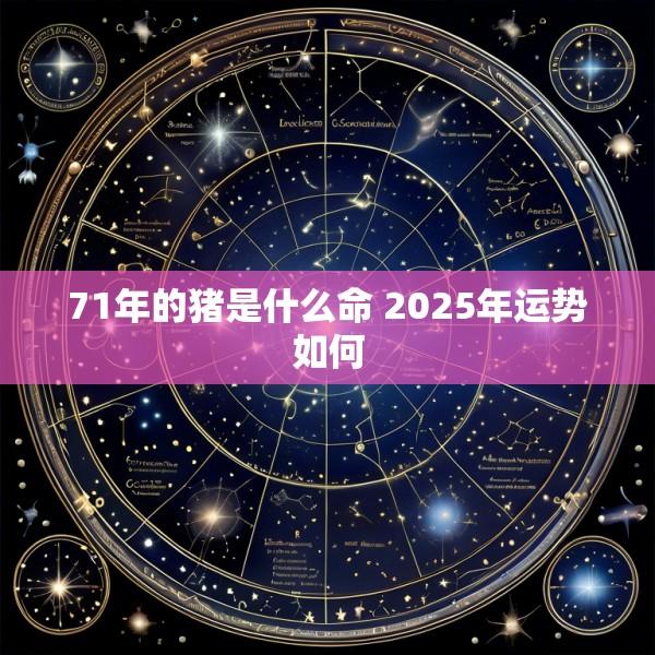 71年的猪是什么命 2025年运势如何