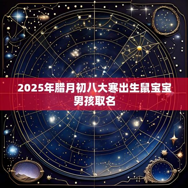 2025年腊月初八大寒出生鼠宝宝男孩取名