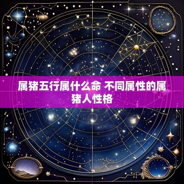 属猪五行属什么命 不同属性的属猪人性格