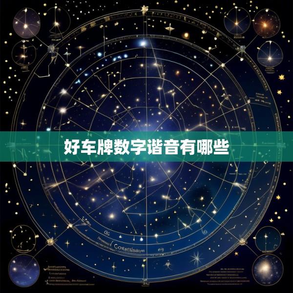好车牌数字谐音有哪些