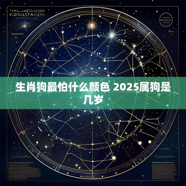 生肖狗最怕什么颜色 2025属狗是几岁