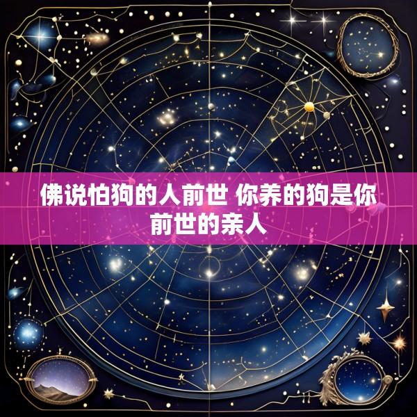 佛说怕狗的人前世 你养的狗是你前世的亲人