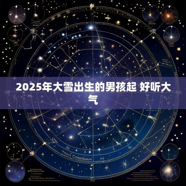 2025年大雪出生的男孩起 好听大气