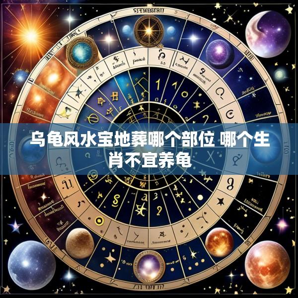 乌龟风水宝地葬哪个部位 哪个生肖不宜养龟