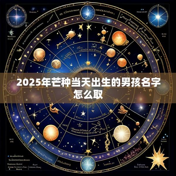 2025年芒种当天出生的男孩名字怎么取