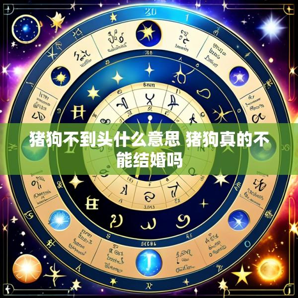 猪狗不到头什么意思 猪狗真的不能结婚吗