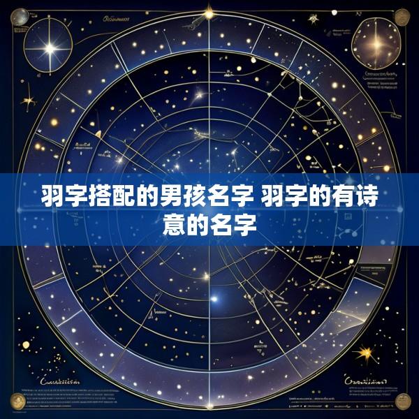 羽字搭配的男孩名字 羽字的有诗意的名字