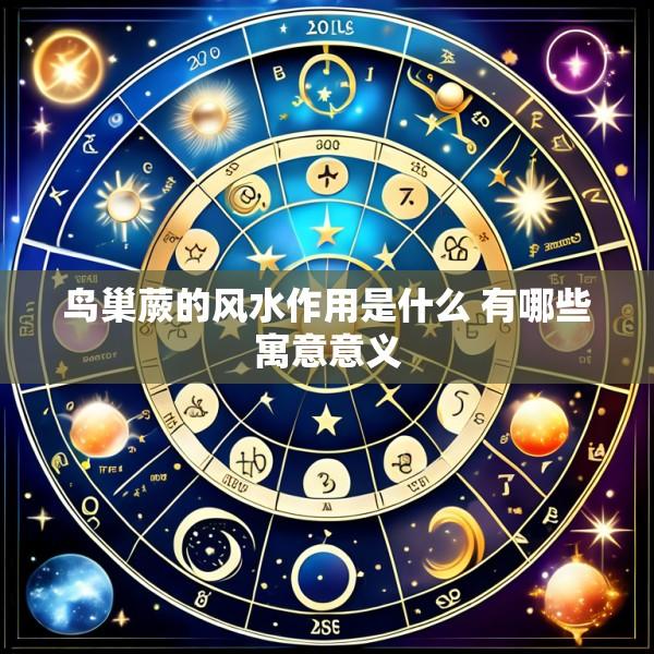 鸟巢蕨的风水作用是什么 有哪些寓意意义