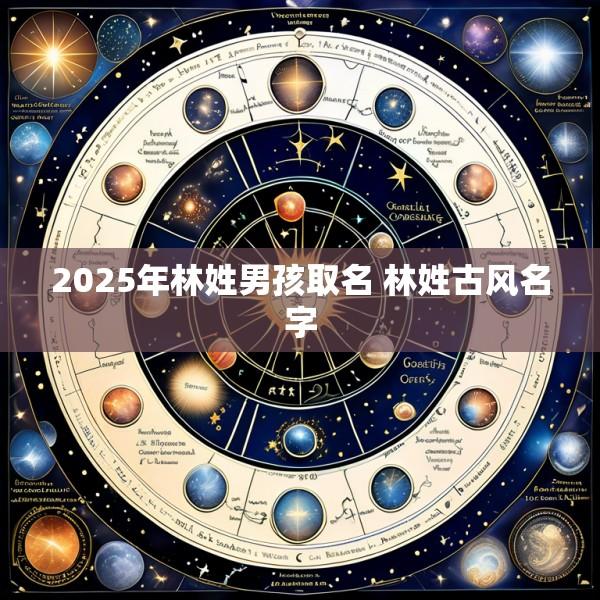 2025年林姓男孩取名 林姓古风名字