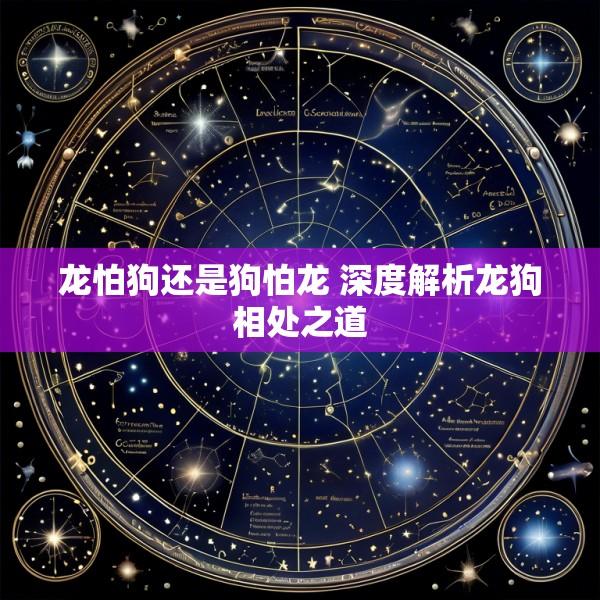 龙怕狗还是狗怕龙 深度解析龙狗相处之道